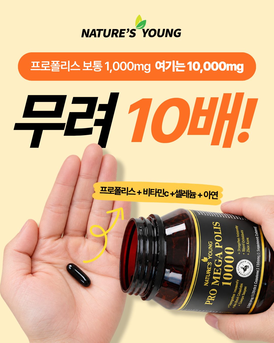 메타광고 이미지