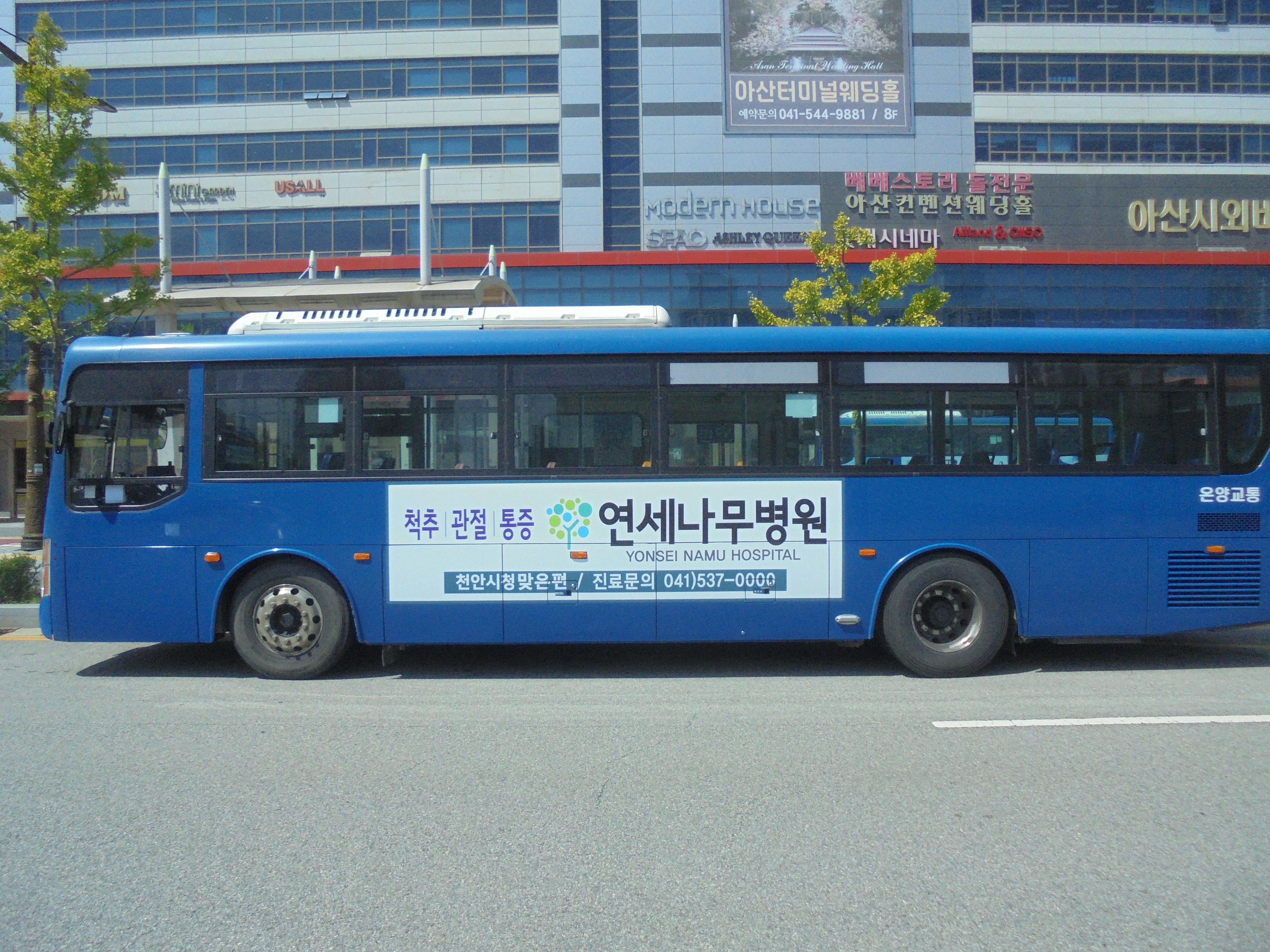 연세나무병원 버스 광고