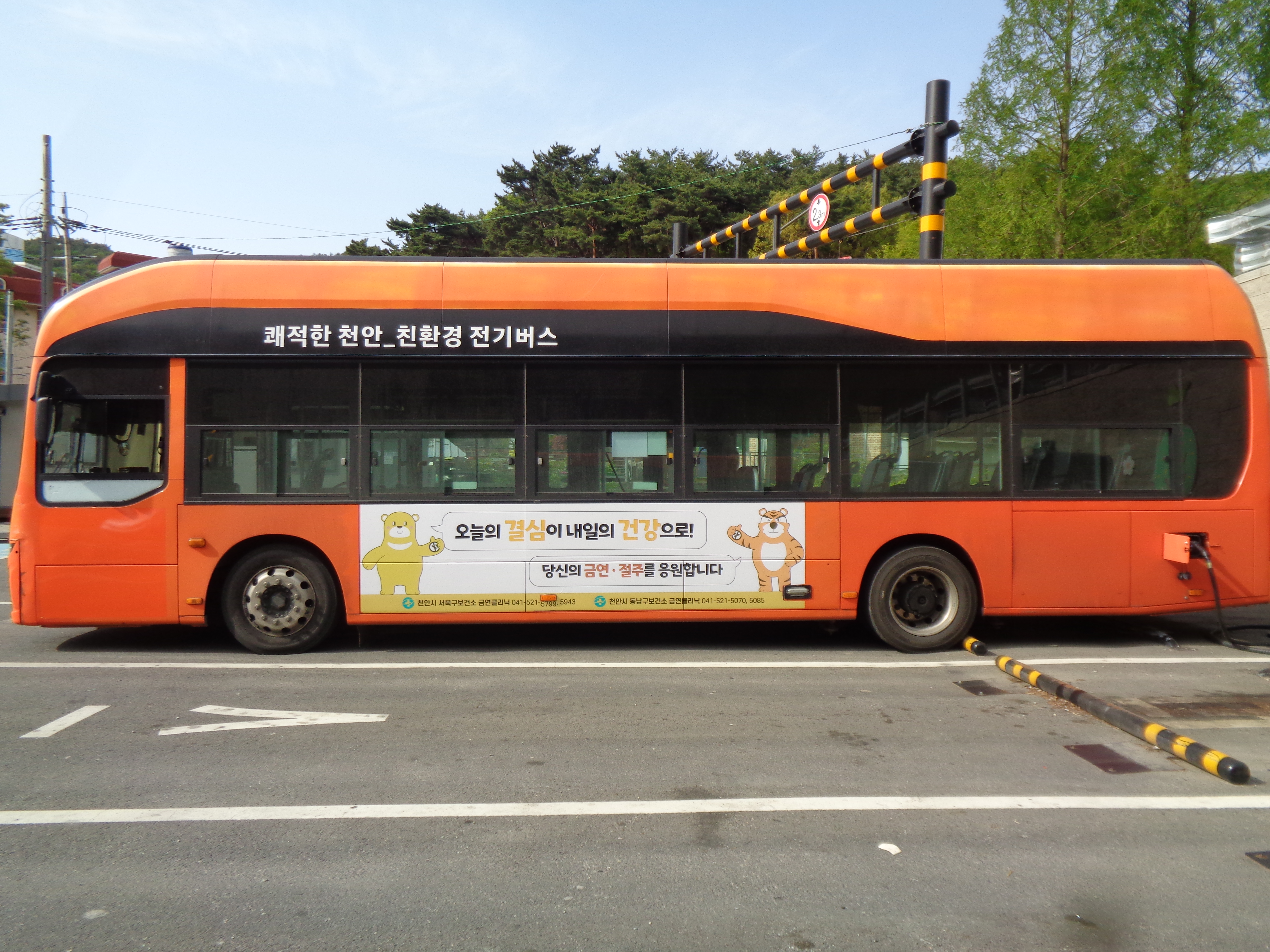 천안시보건소 버스 광고