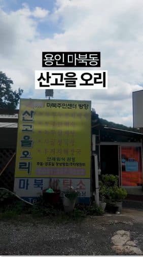 산고을오리 맛집 릴스