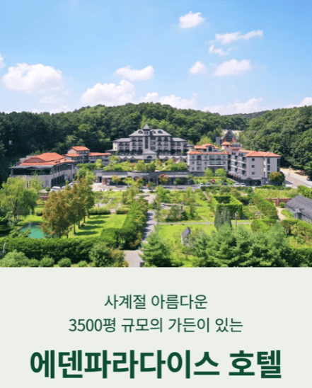 에덴파라다이스 호텔 엘리베이터광고