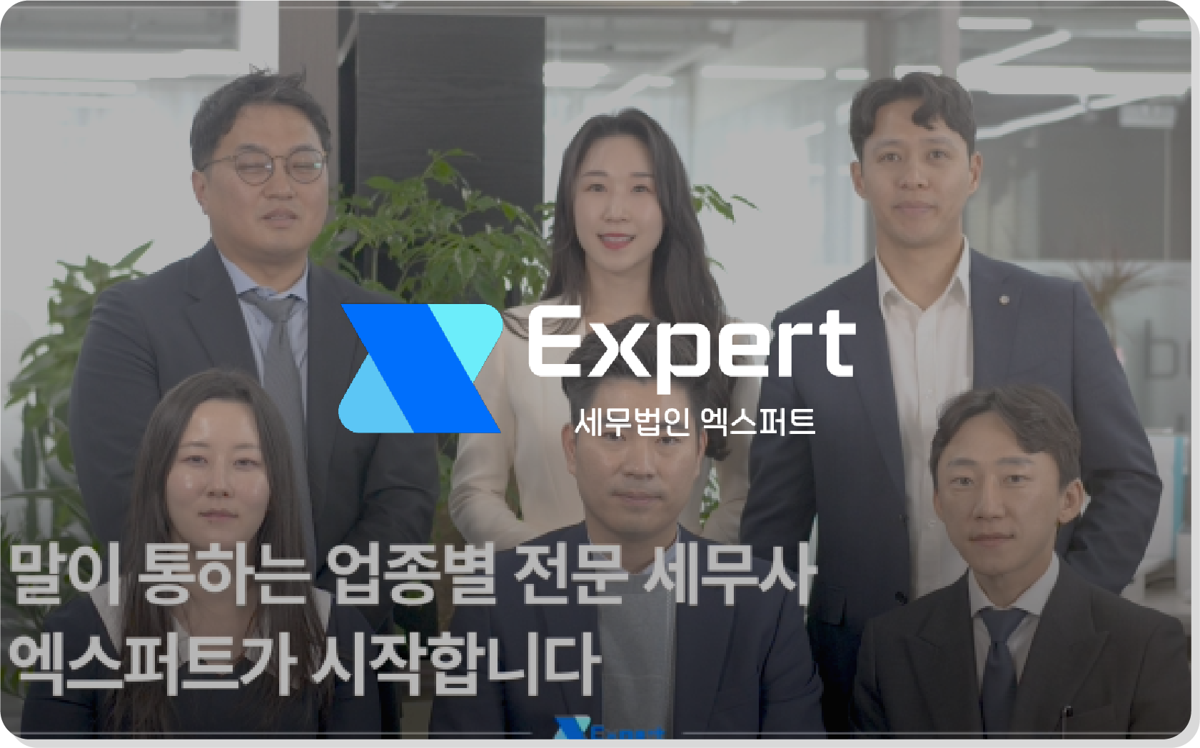 엑스퍼트