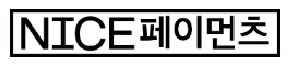 나이스페이먼츠